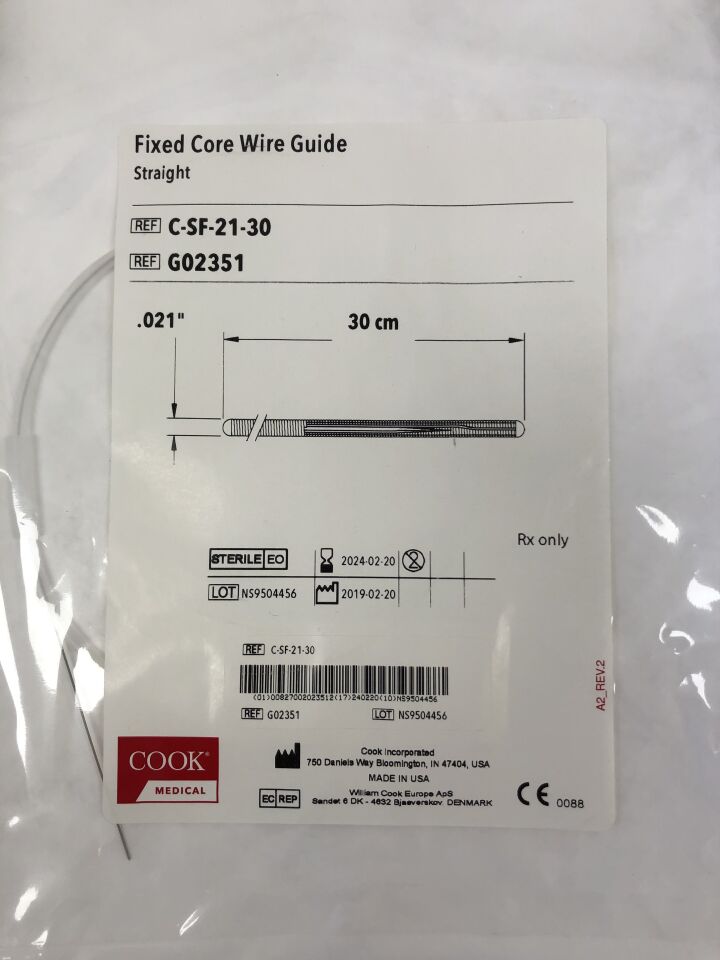 G02351 - COOK - Fixed Core Wire Guide Straight, 30cm, (EA) - ( Expiry Date: 2024-02-20 )
