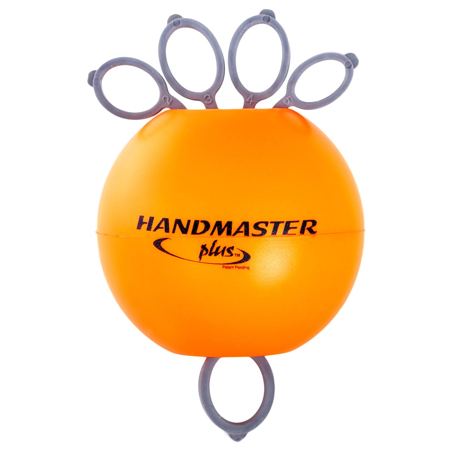 1498 - Doczac Enterprises, Inc. - Exercise Ball, Firm (020498) , ea
