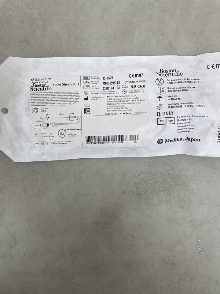15-962B - BOSTON SCIENTIFIC - Super Sheath R/O Introducer - 6Fr x .038" x 11cm, (EA) - ( Expiry Date: 2025-03-31 )
