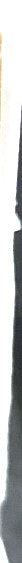 C1638N - SURGICAL SPECIALTIES - Dsm19 3-0 Ch Gut 27"/70cm, (BX/12)