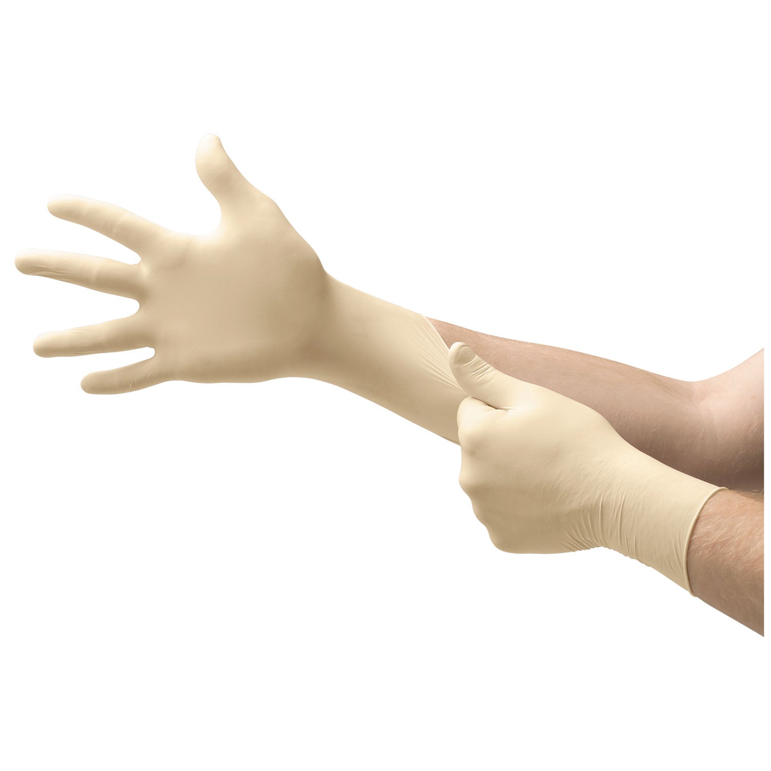 3181-1 - Ansell - Exam Glove, Powder-Free, Small, White, Non-Sterile, 100/bx, 10 bx/cs (US Only)    , cs