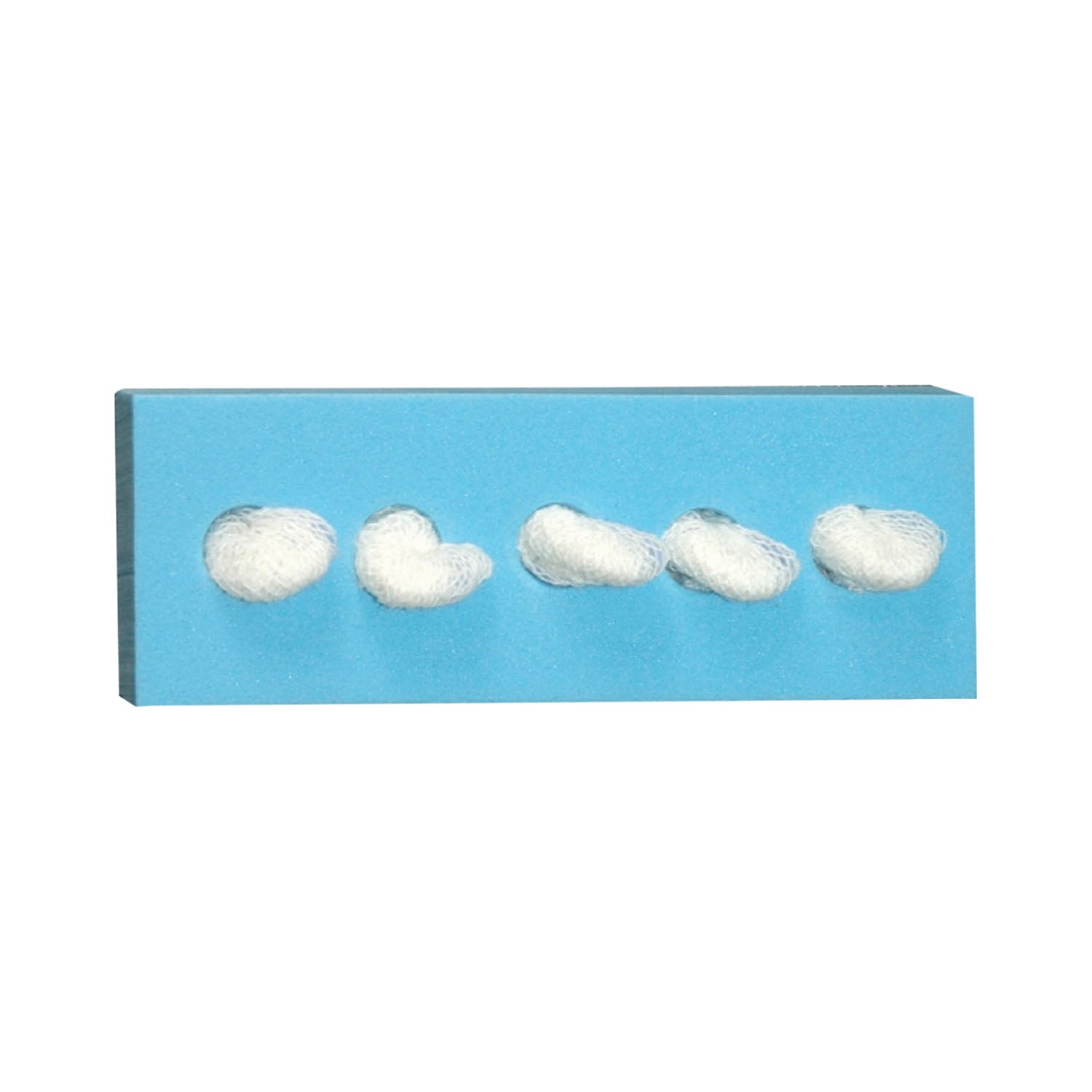 10673 - Dukal Corporation - Cherry Sponge, ½", C-5® Holder, Sterile, 5/bg, 100 bg/cs    , cs