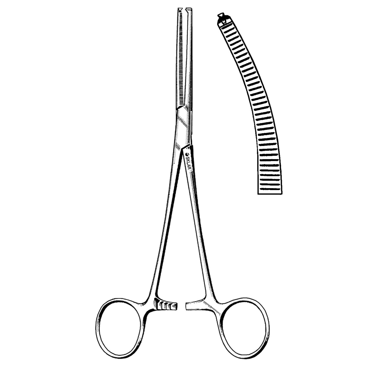 17-2680 - Sklar Instruments - Rochester-Ochsner Forcep, Curved, 8" (DROP SHIP ONLY)    , ea