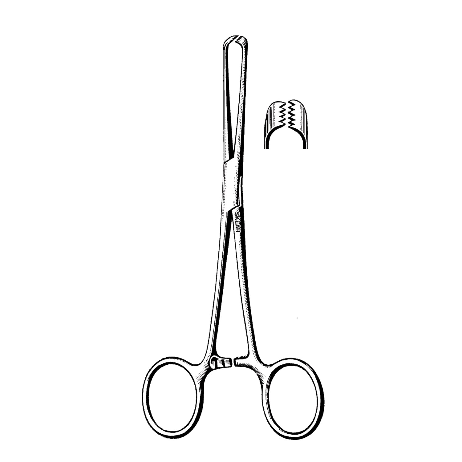 36-2295 - Sklar Instruments - Allis Tissue Forceps, Delicate, 5X6 Teeth, 9.5" (DROP SHIP ONLY)    , ea