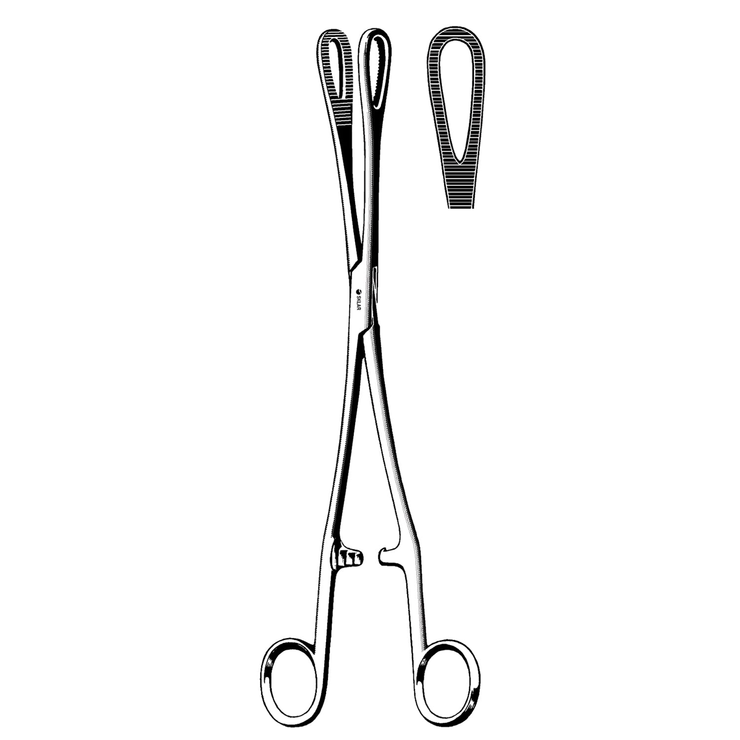 87-2240 - Sklar Instruments - Rampley 海綿鉗，直型，鋸齒狀，9.75 英吋（僅限代發貨），每個