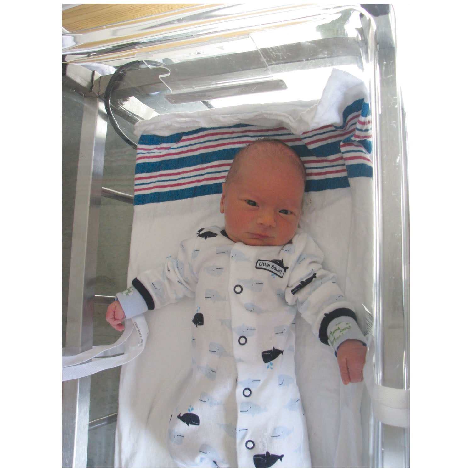 4733 - TIDI Products, LLC - Posey Wrist/Ankle Restraint, Infant, Strap Fastening, 1-Strap, Foam, White, 12pr/ea (Continental US + HI Only)    , ea