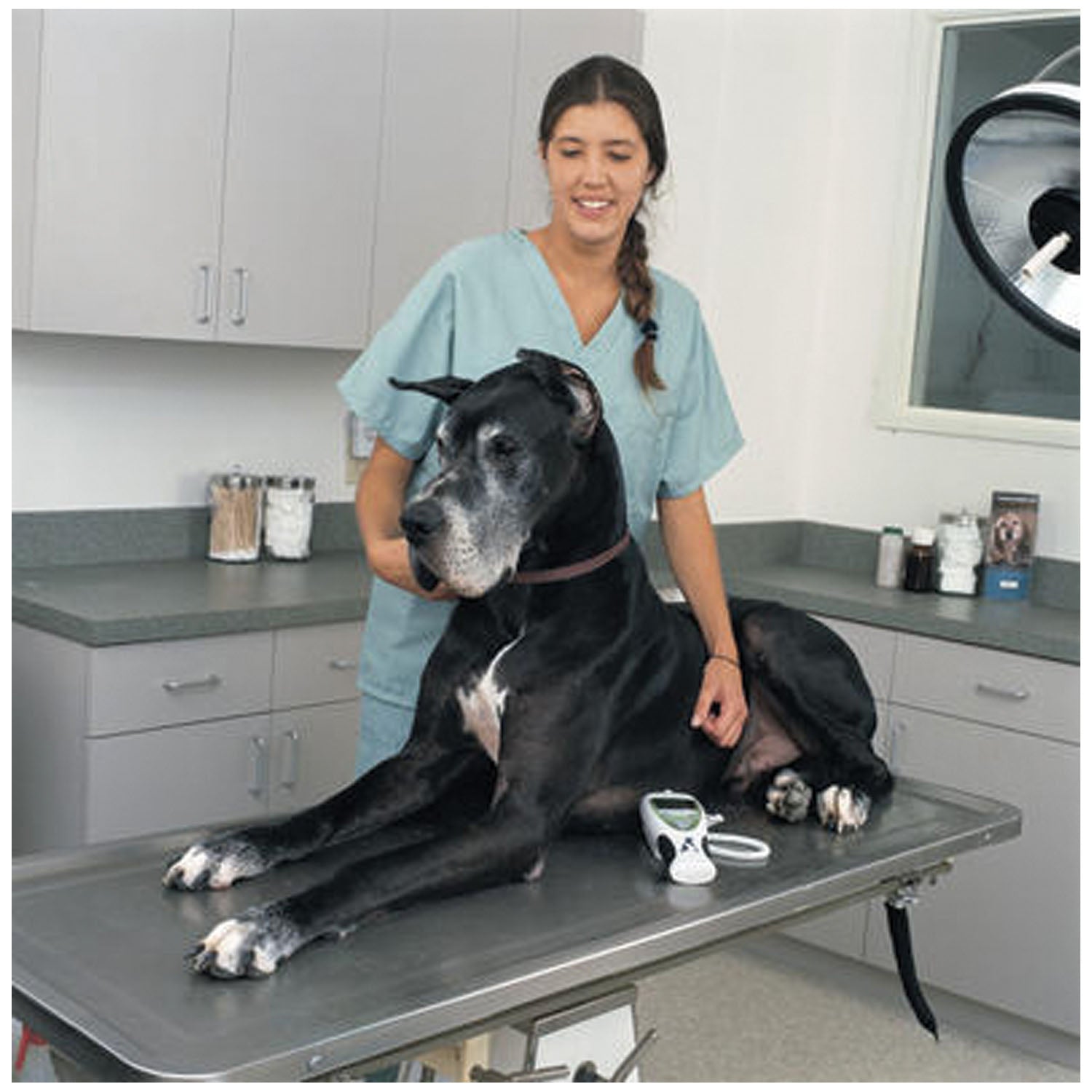 01690-201 - Hillrom - 690 型電子體溫計，直腸探頭，直腸探頭底座，兩年有限保固（僅限美國），每個